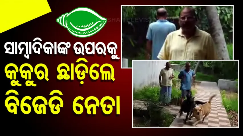 BJD Leader Releases Dogs on Lady Journalist