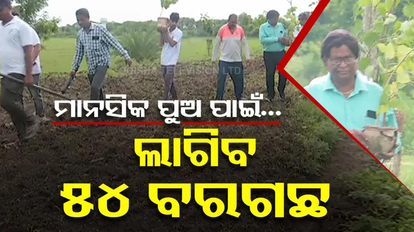 Man Plants 54 Peepal and Banyan Trees