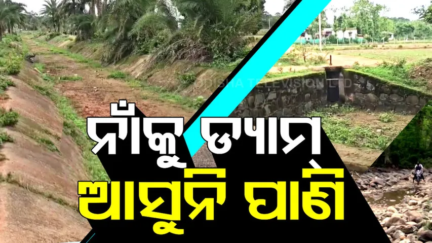 Lack of Water in Canal haunts Farmers in Umerkote