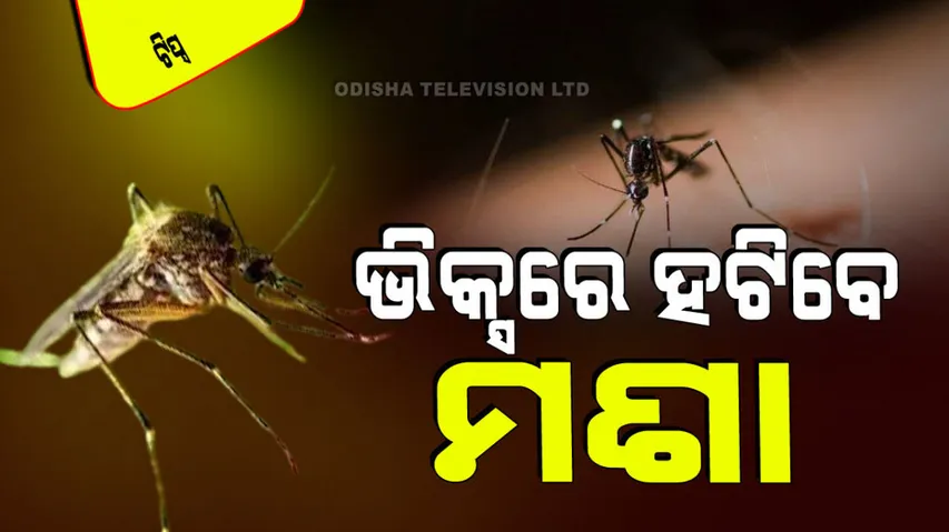 How to use vicks to repel mosquitoes