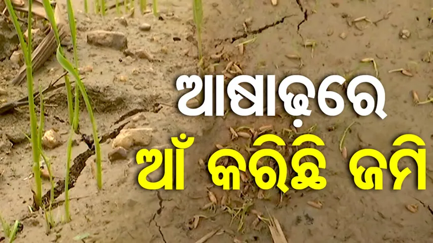 Drought situation in Bolangir