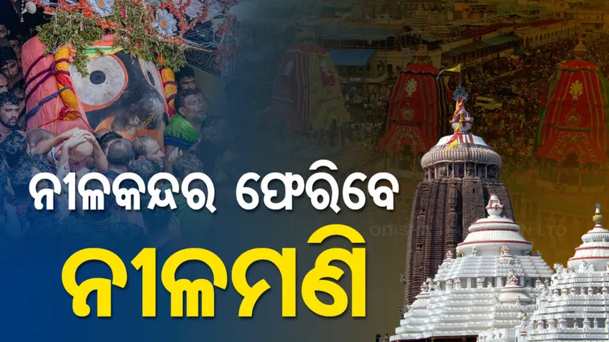 Niladri Bije 2024 of Lord Jagannath