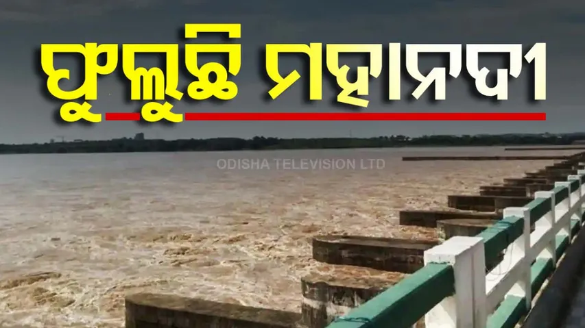 Mahanadi Water Level 