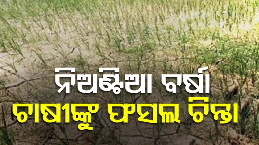 Rainfall Deficit in Odisha's Deogarh District