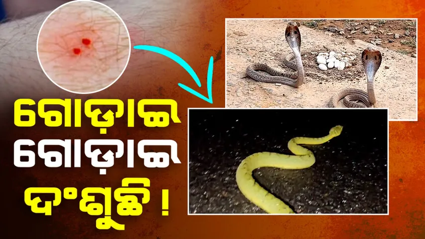 Snakes and Rising Fatalities