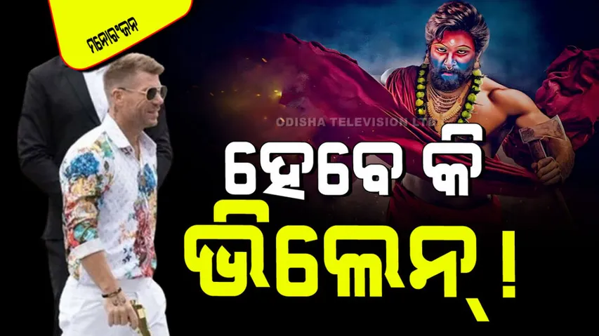 This most expensive cricket player in ipl became villain in pushpa 2