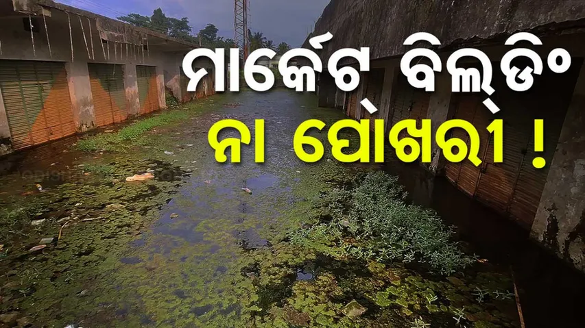 govt negligence over vending zones gunupur odisha