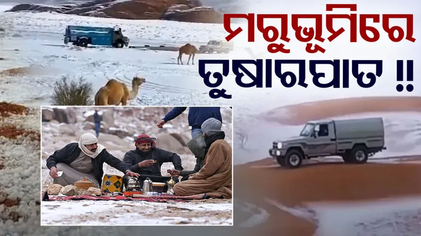 Saudi Arabian desert