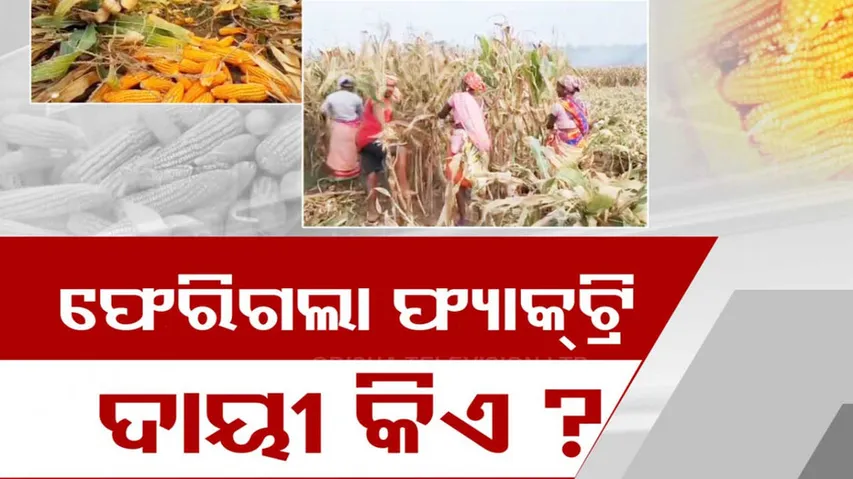 Rs 500-Crore Ethanol Project Exits