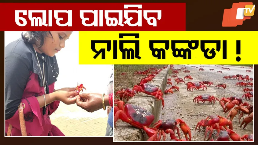 Disappearance of the Red Crabs