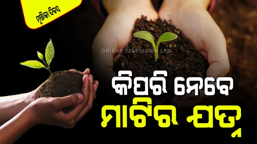 World Soil Day 2024 Six tips to save soil