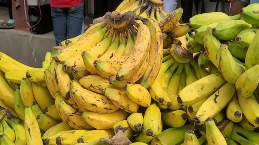 Keep these things in mind before eating banana in winter