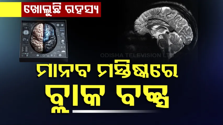 ମସ୍ତିଷ୍କରେ ମେମୋରୀ ଚିପ୍ 