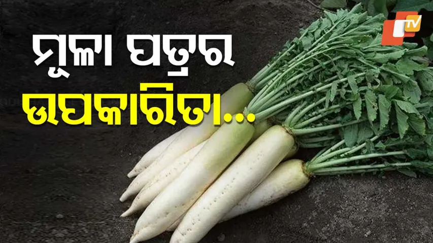  Radish Leaves Health Benefits