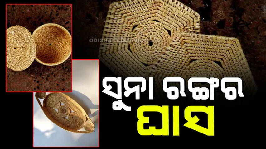 It is made of grass that looks like gold