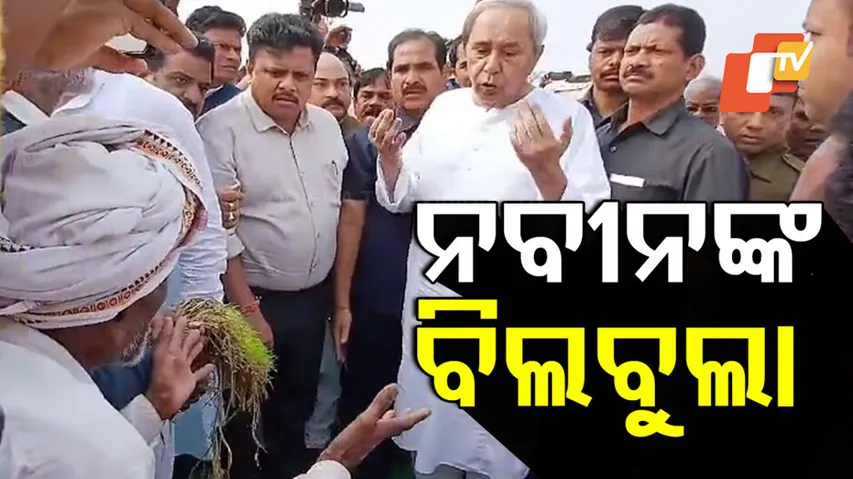 ନବୀନଙ୍କ ବିଲବୁଲାକୁ ନେଇ ଚର୍ଚ୍ଚା