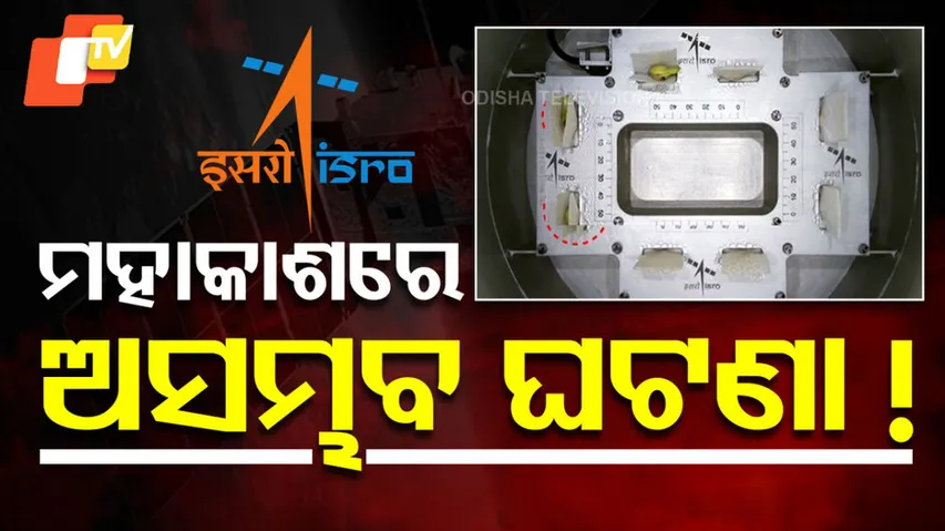 ISRO Successfully Germinates Cowpea Seeds