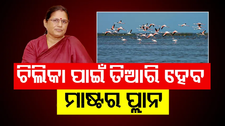 ଚିଲିକା ବିହଙ୍ଗ ଉତ୍ସବ