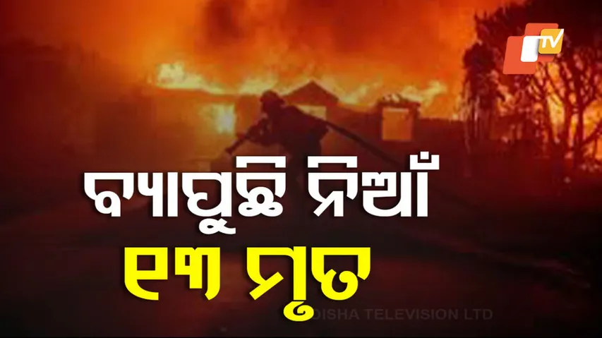 California Los Angeles Wildfires