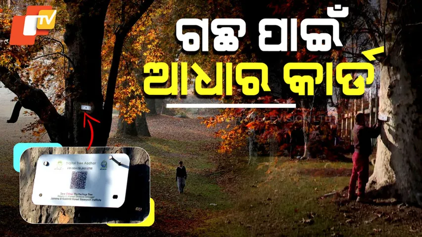 ଗଛ ପାଇଁ ଆଧାର କାର୍ଡ 