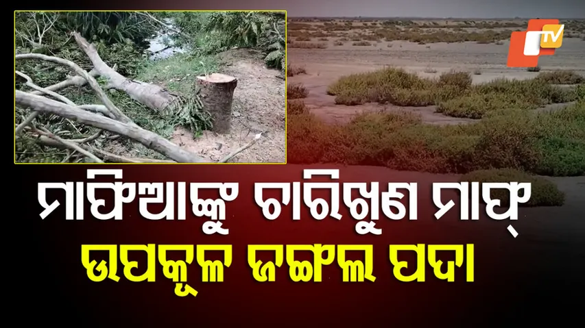 ପଦା ହେଲାଣି ଉପକୂଳ ଜଙ୍ଗଲ