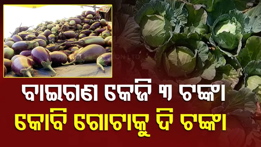 ଶୀତଳ ଭଣ୍ଡାର ନାହିଁ, ଜମିରେ ଗଡୁଛି ଫସଲ