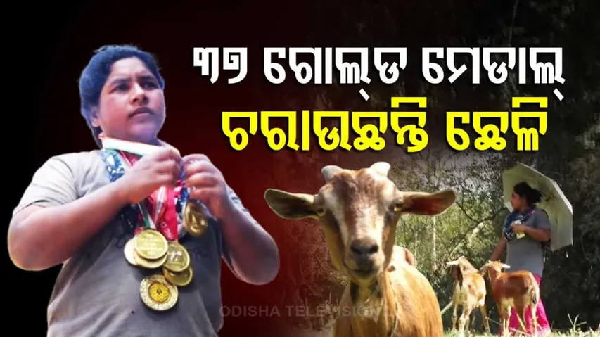 Plight Of Powerlifter 