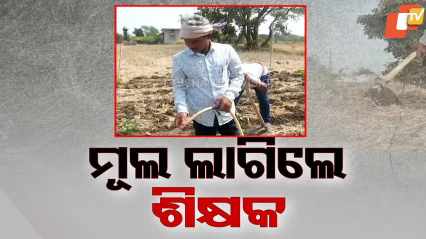 Teacher Protest For Salary