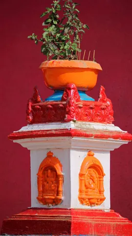 7 vastu rules to bring basil herb home