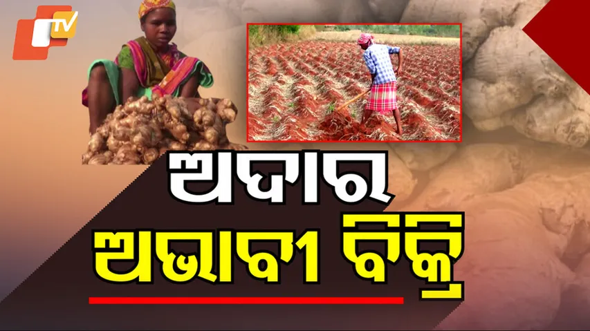 ଅଦାର ଅଭାବୀ ବିକ୍ରି