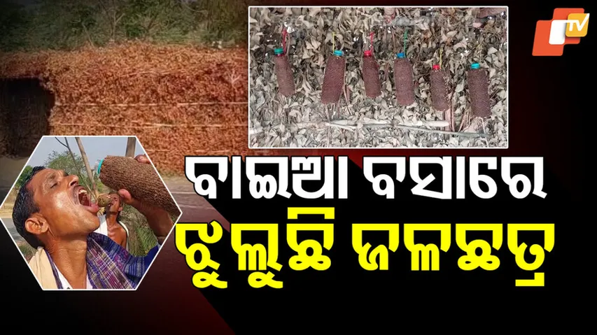 Hut with water for Birds