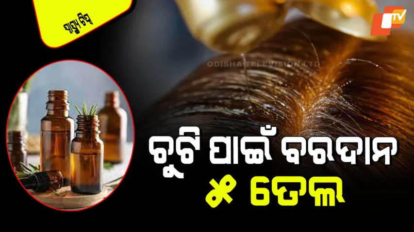 Five oil best for hair know how to apply it correctly