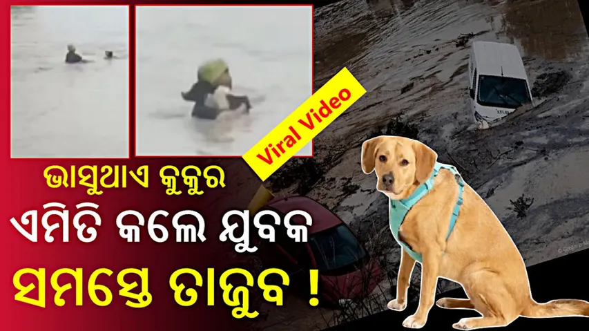 Man Risks Life To Save Dog