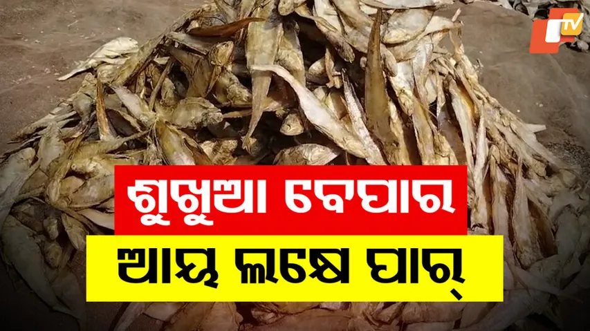 ଶୁଖୁଆ ବେପାର