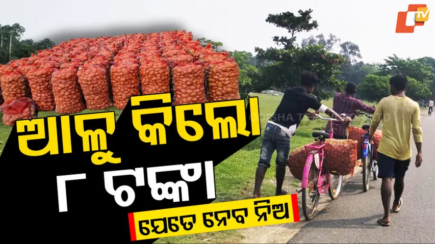 ଆଳୁ କିଲୋ ୮ ଟଙ୍କା