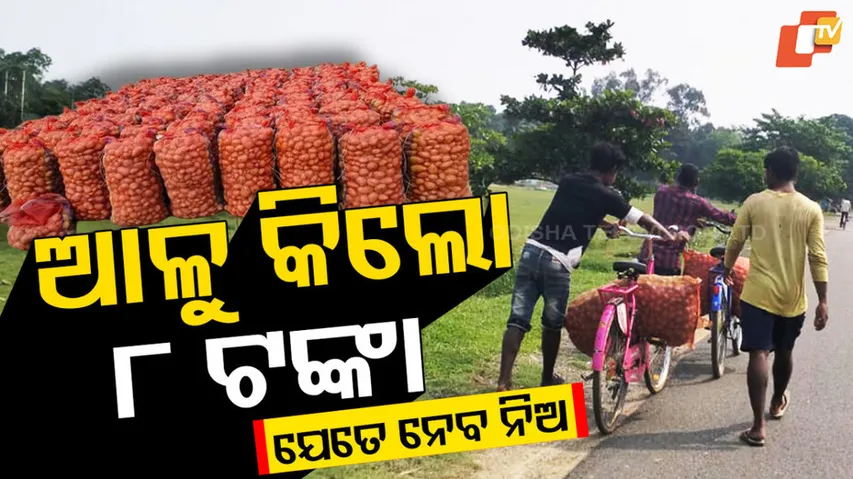 ଆଳୁ କିଲୋ ୮ ଟଙ୍କା