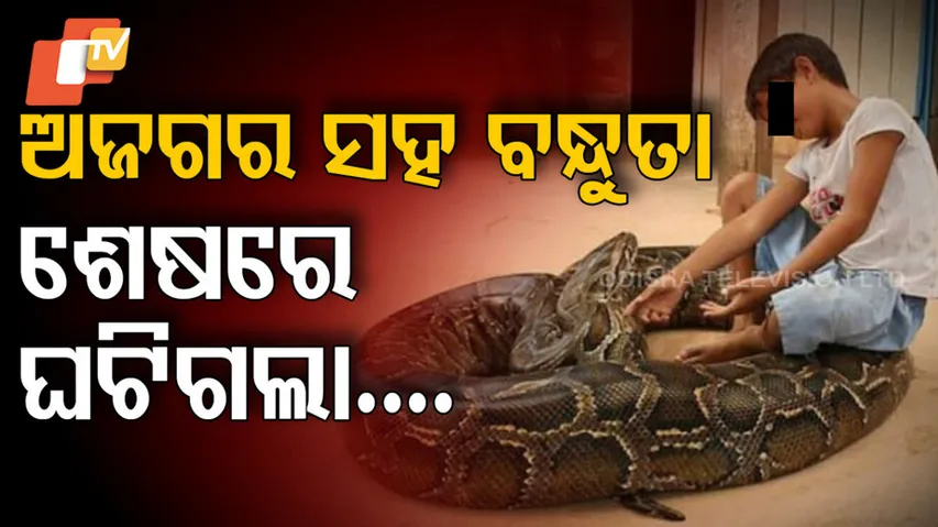 Friendship With Python