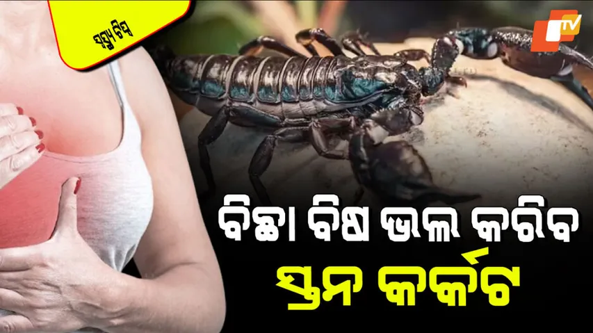 Scorpion venom may cure breast cancer
