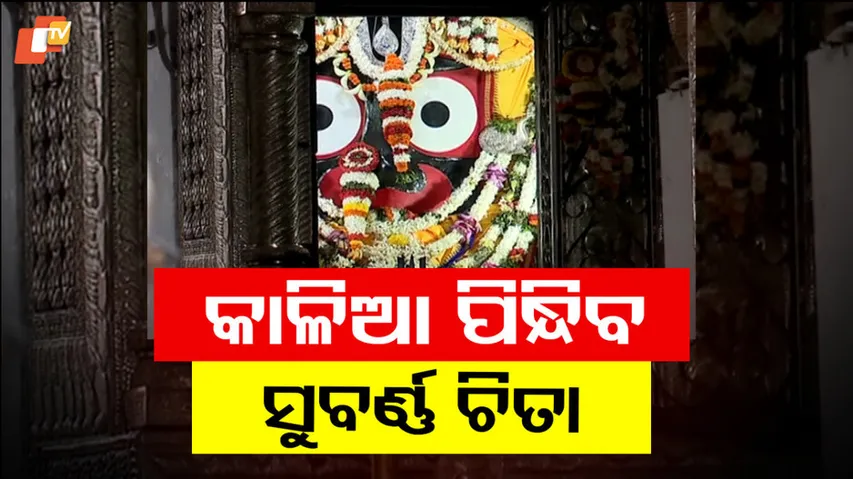 Jay Jagannath