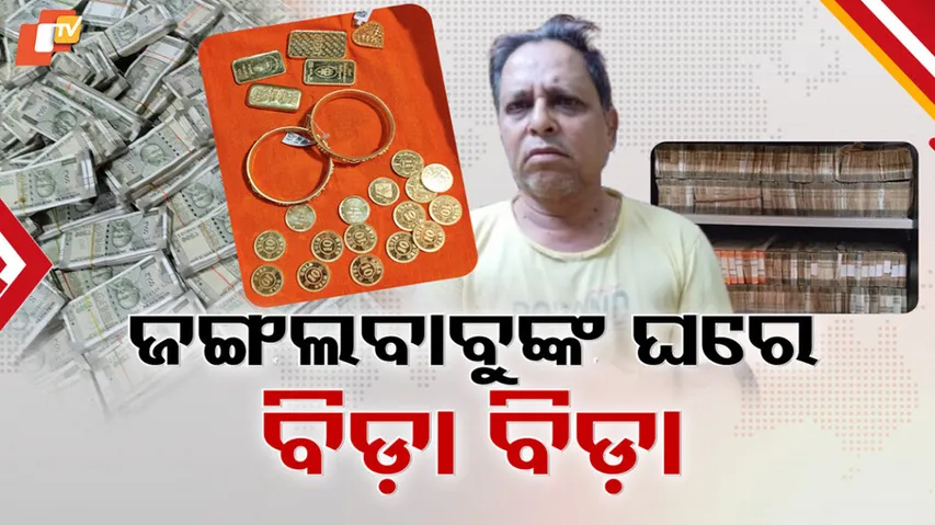 Forest Ranger’s Hidden Cash and Gold Sting