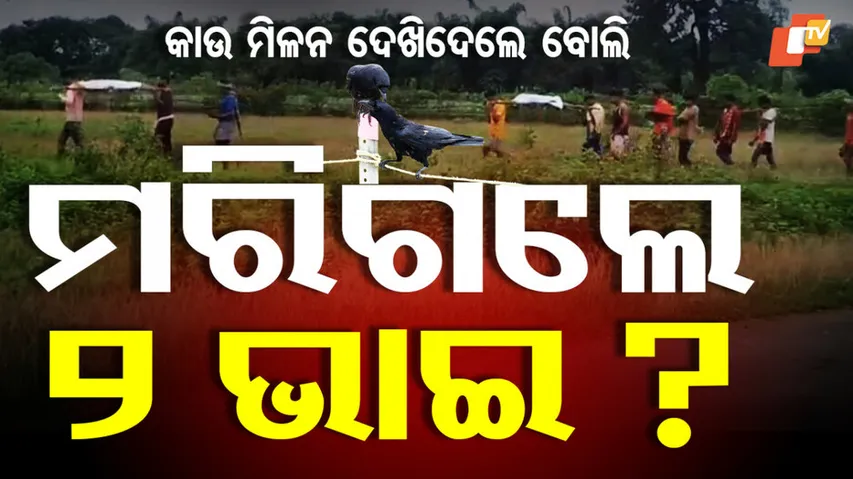 Superstition Prevails in 2025