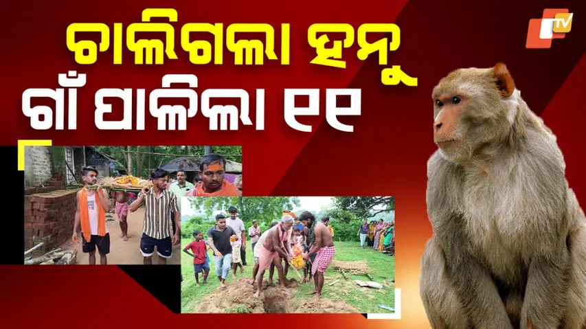 Balasore-Monkey-Death