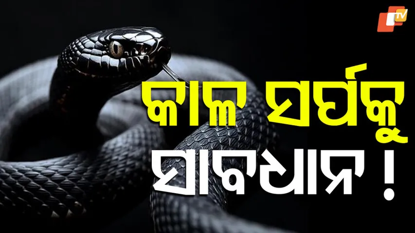 Snakebite menace grips Odisha