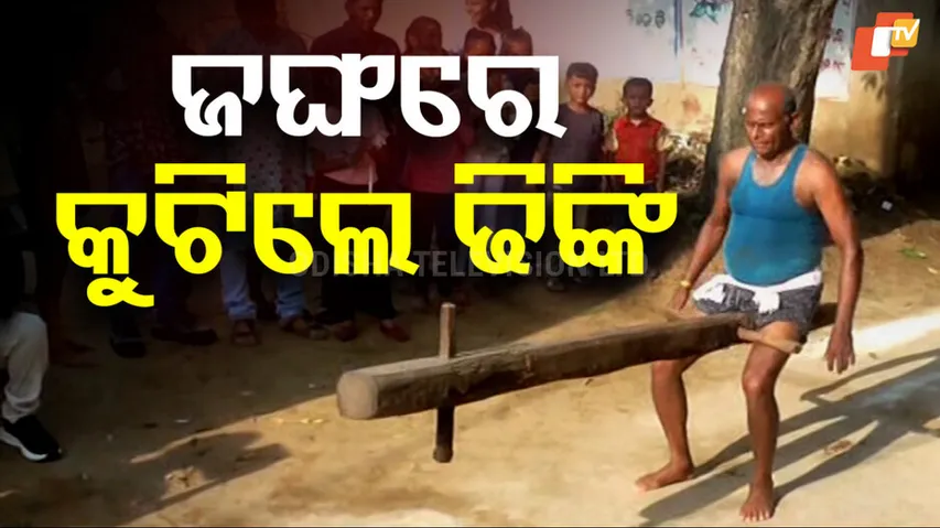 Nuakhai Celebration 