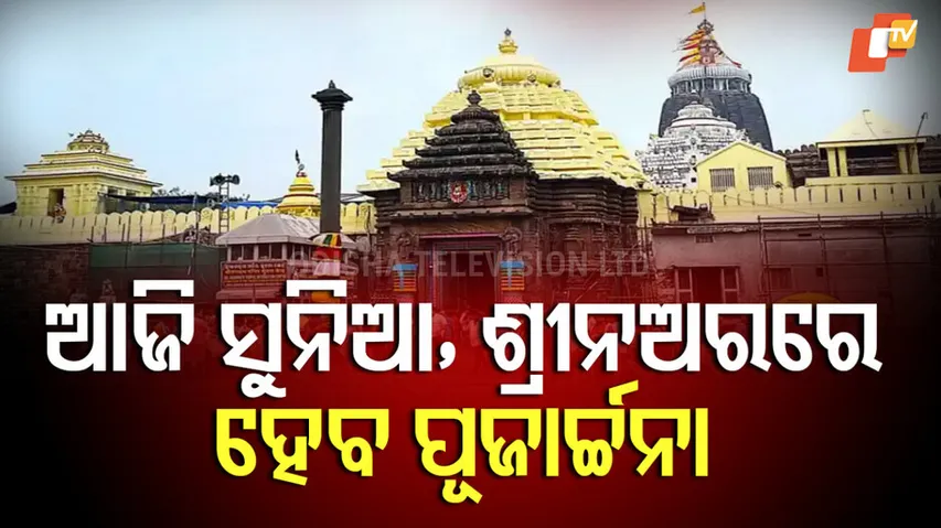 Sunia Festival, 2025