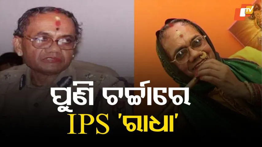 IPS DK Panda