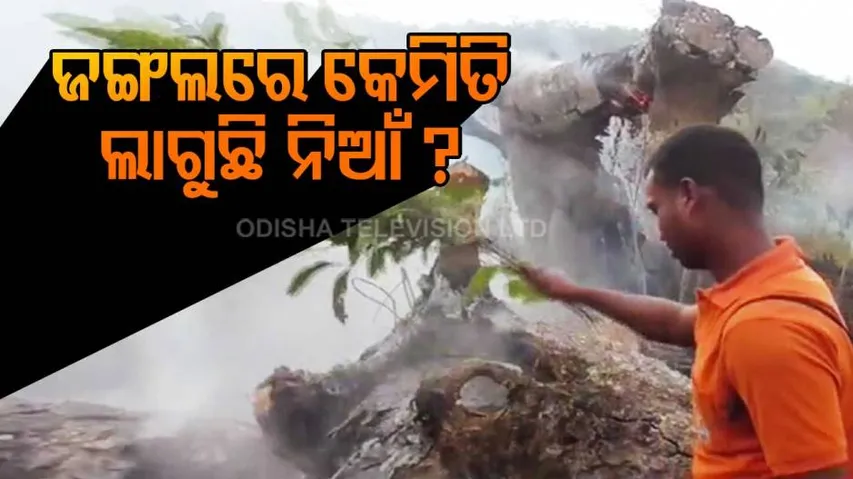 ଜଙ୍ଗଲରେ କେମିତି ଲାଗୁଛି ନିଆଁ ? ଆଜି ଘଟଣାସ୍ଥଳ ଗସ୍ତ କରିବ ଟାସ୍କ ଫୋର୍ସ ଟିମ୍