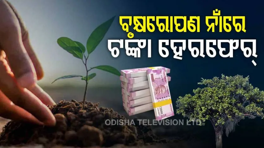 ବୃକ୍ଷରୋପଣ ନାଁରେ ଟଙ୍କା ହେରଫେର ଅଭିଯୋଗ : କାମ କରିନଥିବା କିଛି ଶ୍ରମିକଙ୍କ ଆକାଉଣ୍ଟରେ ଟଙ୍କା ଜମା ପରେ ଉଠାଣ