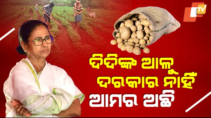 Koraput Farmers Gear Up to Save Odisha from Potato Crisis