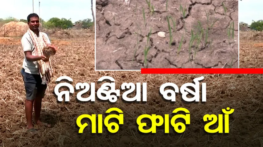 Scanty Rainfall Triggers Water Crisis In Odisha